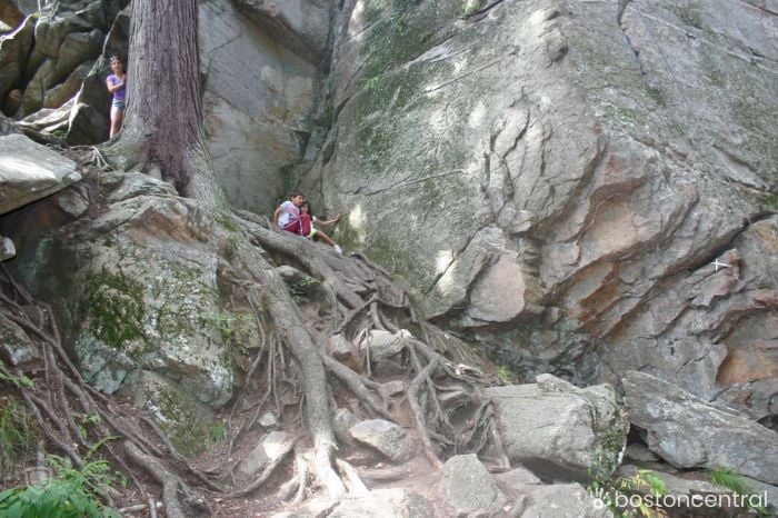 purgatory chasm boston daytrips